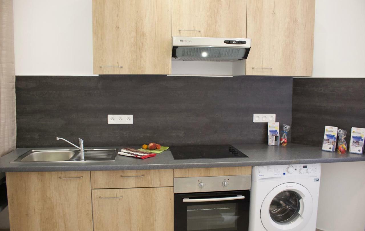 Les Lions Apartment Nizza